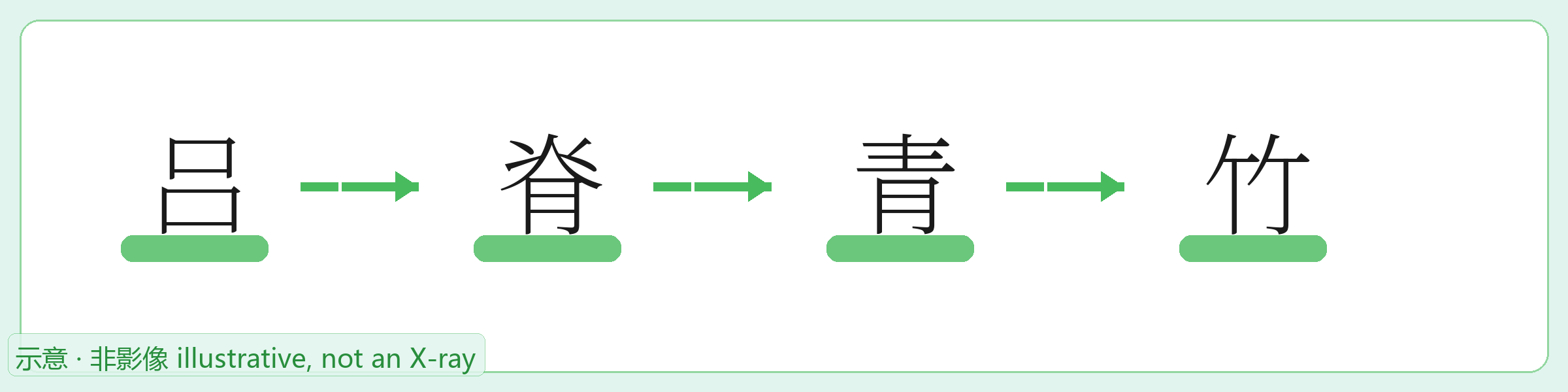 吕 → 脊 → 青 → 竹 字形演变示意